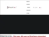 hayatboru.com