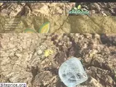 hello-nature.fr