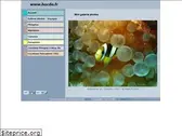 hocde.fr