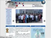ibioinformatics.org