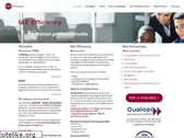 ie-efficiency.fr