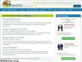 iprogrammatori.it