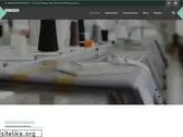 kumasalan.com