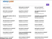kurtceceviri.com