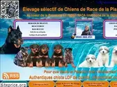 la-plaine-astree.com