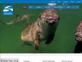 marine-mammals.com