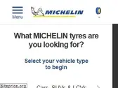 michelin.in