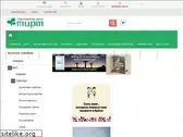 mirt.ru