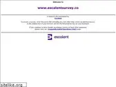 msisurvey.com