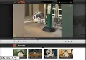 myvi.tv