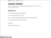 nering.com.br