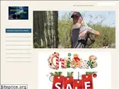 nuggetshooter.com