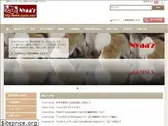 nyaaz.com