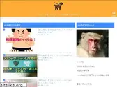 nyoken.com