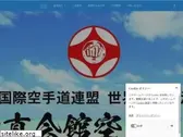 okinawakyokushin.com