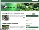 omeubonsai.com