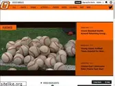osseo-orioles.com