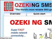 ozekisms.com