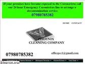 phoenixcleaningcompany.com