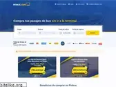 pinbus.com