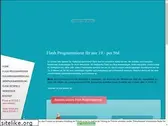 programmierer-flash.de
