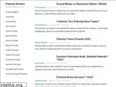 psikolojirehberi.com
