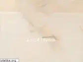 python.ms