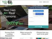 realsurveysthatpay.com