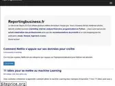 reportingbusiness.fr