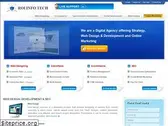 roiinfotech.com