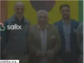 salixfruits.com