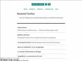 sam217pa.github.io