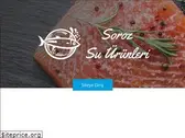 sarozsuurunleri.com