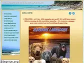 seashoresilverlabradors.com