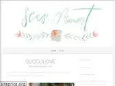 seasthemomentblog.com