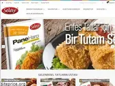 selay-esatis.com