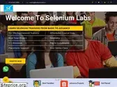 seleniumlabs.in