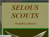 selousscouts.tripod.com