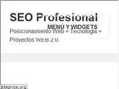 seoprofesional.com