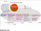 shiatsunuad.com