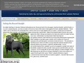 silverlabs.blogspot.com