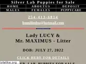silverlabs.info