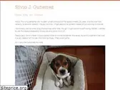 silviogutierrez.com