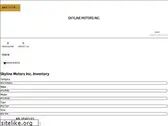 skylineusedcars.com