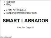 smartlabrador.com