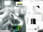 solemtuzkimya.com