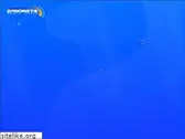 speednetz.com