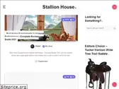 stallion.house