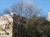 stmaryslp.org