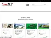studybird.in